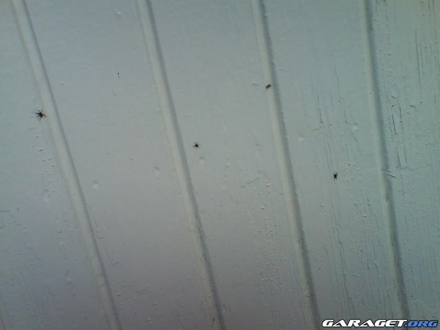 http://www.garaget.org/gallery/archive/2355/164059_3w114c.jpg