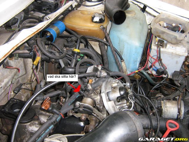 http://www.garaget.org/gallery/archive/24718/184540_u5rp9n.jpg