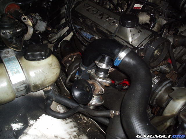 http://www.garaget.org/gallery/archive/36962/231385_4zuozp.jpg